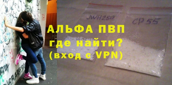 соль ск Новодвинск