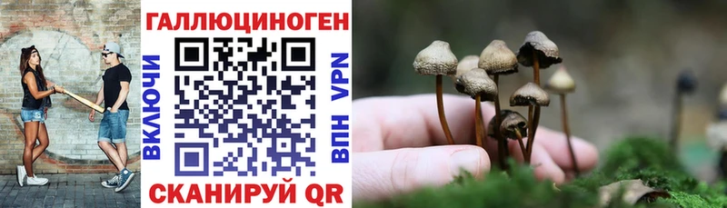 закладка  Харабали  Галлюциногенные грибы MAGIC MUSHROOMS 